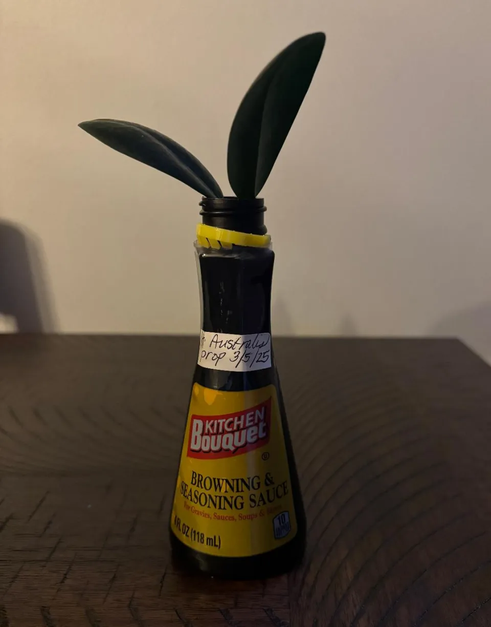 You Can Propagate Hoya in Any Kind of Container