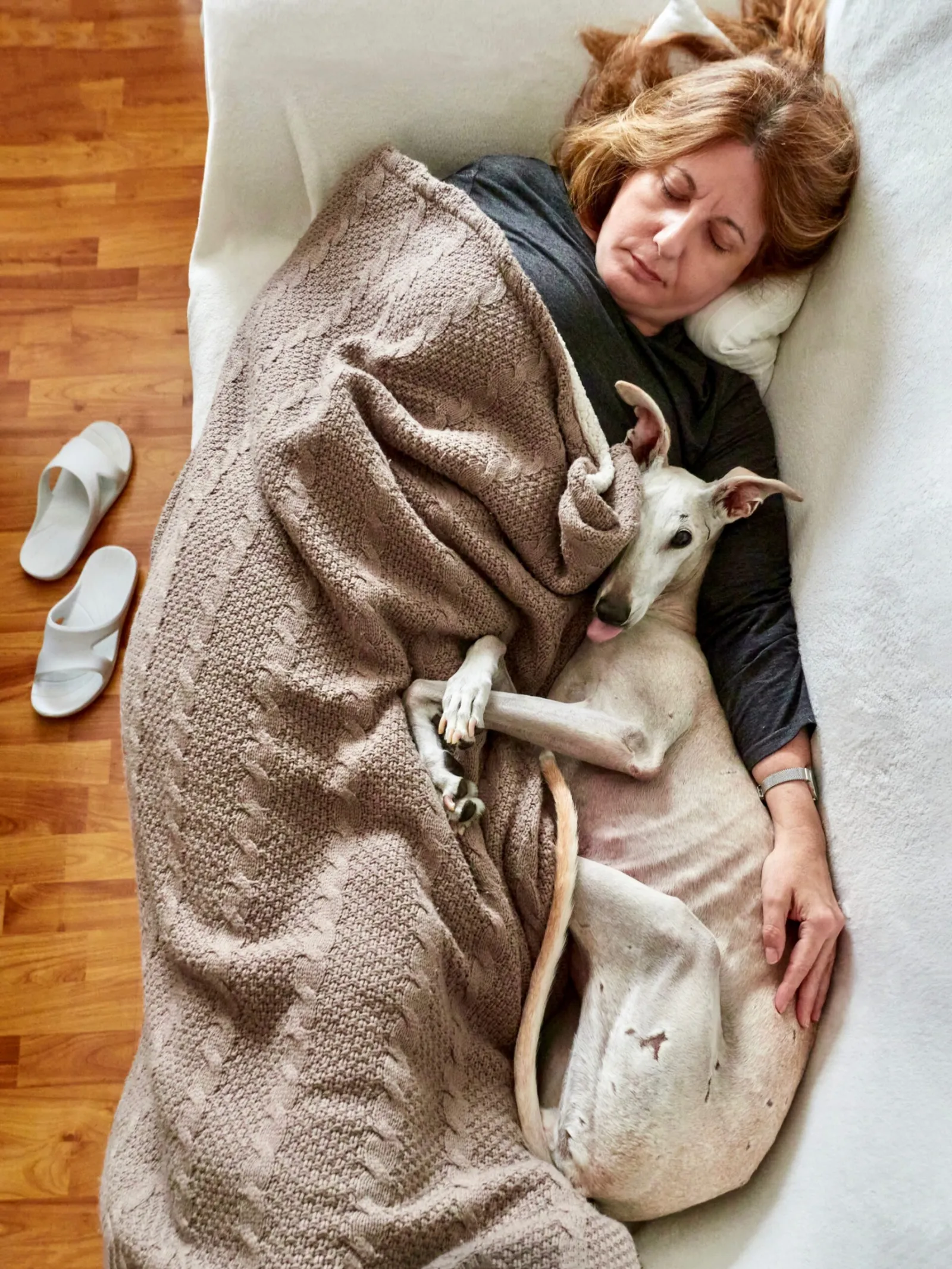 Sometimes It's Good To Take a Short Power Nap