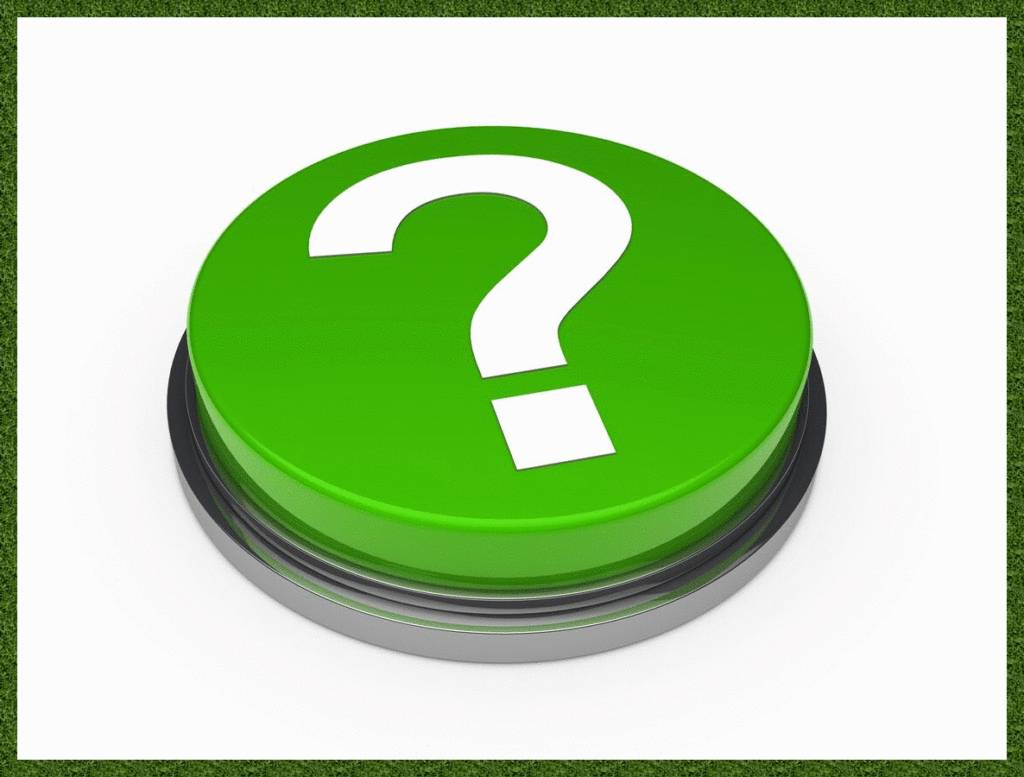 Large Button With A White Question Mark on a Green Background
