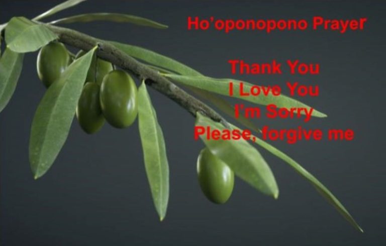 Olive Branch With The Ho'oponopono Prayer